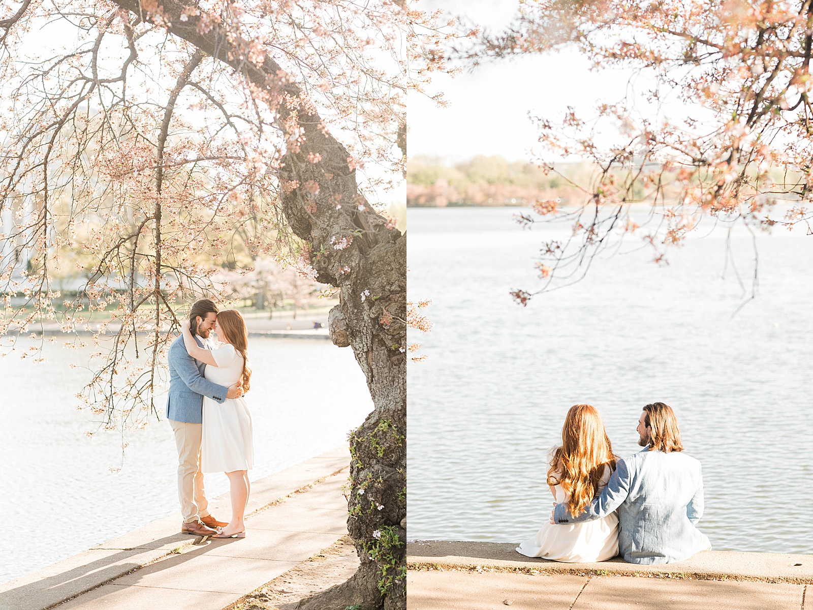 Jefferson Memorial at the National Cherry Blossom Festival — Lincoln  Photography