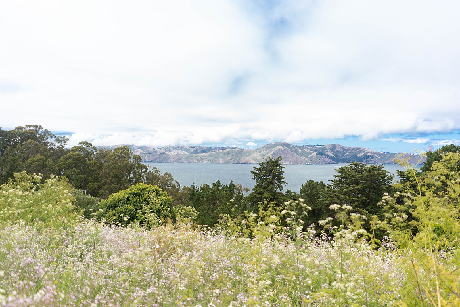 Legion of Honor wedding and engagement photos