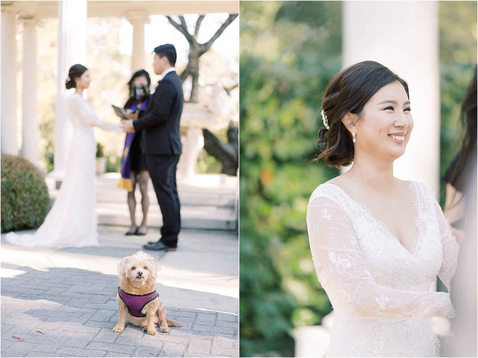 Villa Montalvo elopement, Villa Montalvo wedding, Montalvo Arts Center wedding, san francisco wedding photographer, east bay wedding Bay Area, Bay Area Wedding photographer, Intimate wedding, backyard wedding, COVID wedding, COVID elopement, Bay Area elopement packages, San Francisco elopement ideas, San Francisco city hall engagement photos, San Francisco city hall wedding photographers, San Francisco city hall wedding, San Francisco city hall elopement, downtown san francisco engagement photos, awesome engagement photos in San Francisco, San Francisco photo spots, Northern California engagement photos San Francisco engagement photos, engagement session in San Francisco, San Francisco engagement session, San Francisco wedding photographer, San Francisco wedding photos, wedding photos in San Francisco, colorful San Francisco photographer, fine art San Francisco photographer, fine art San Francisco wedding photographer, wedding photographer in San Francisco, San Francisco wedding ideas, engagement photo ideas in San Francisco