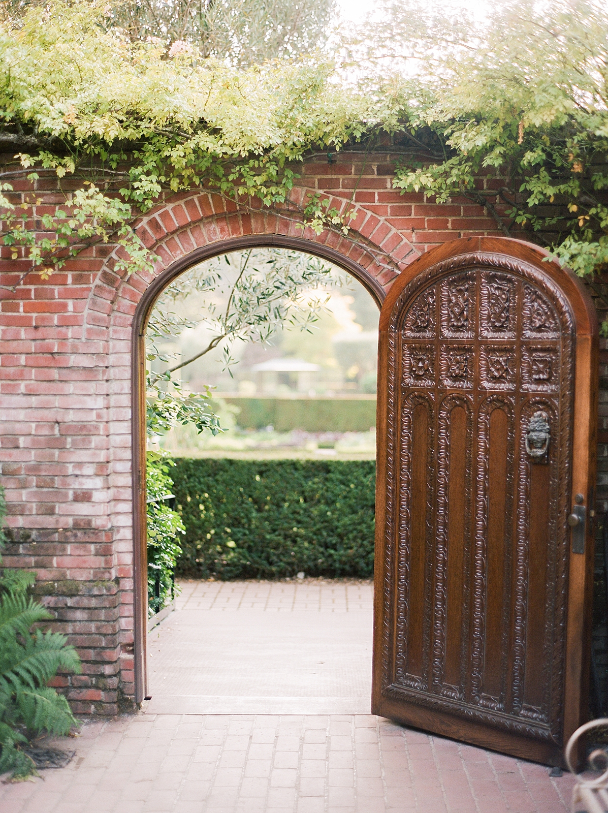 Filoli Engagement Photos, South Bay Wedding venues, Filoli wedding, Northern California wedding venues, Northern California Film Wedding Photographers, Napa Valley Private Estate Wedding, California private estate wedding, California wedding photographer, Bay Area wedding photographer, Napa wedding photographers, california film wedding photographers, Napa wedding planners, wine country wedding, san francisco wedding photographer, east bay wedding photographers, Bay Area Wedding photographer, Intimate wedding, San Francisco city hall wedding photographers, San Francisco city hall wedding, San Francisco city hall elopement, Northern California wedding photographers, San Francisco engagement session, San Francisco wedding photographer, San Francisco wedding photos, wedding photos in San Francisco, colorful San Francisco photographer, fine art San Francisco photographer, fine art wedding photographer, wedding photographer in San Francisco, San Francisco wedding ideas 