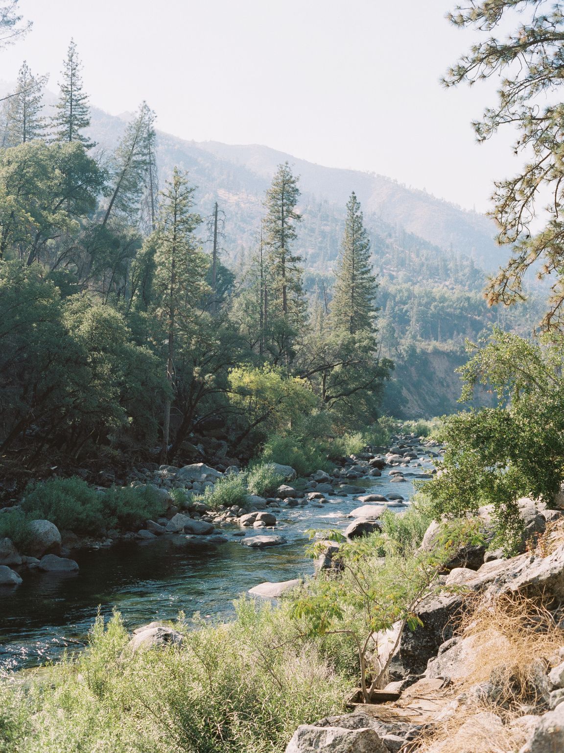 Yosemite Engagement Photos