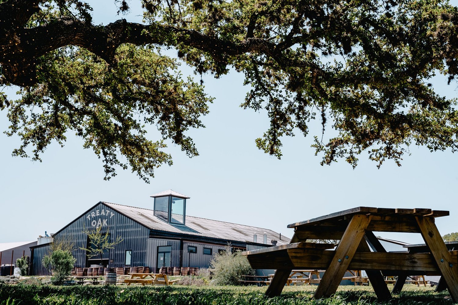 Best Austin Wedding Rehearsal Dinner Spots