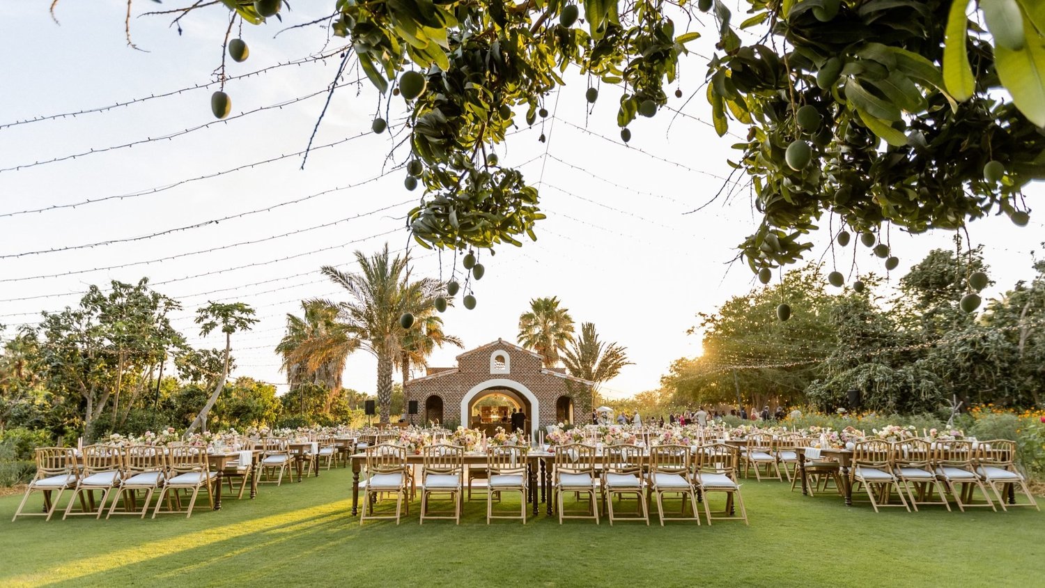 Best Cabo Wedding Venues