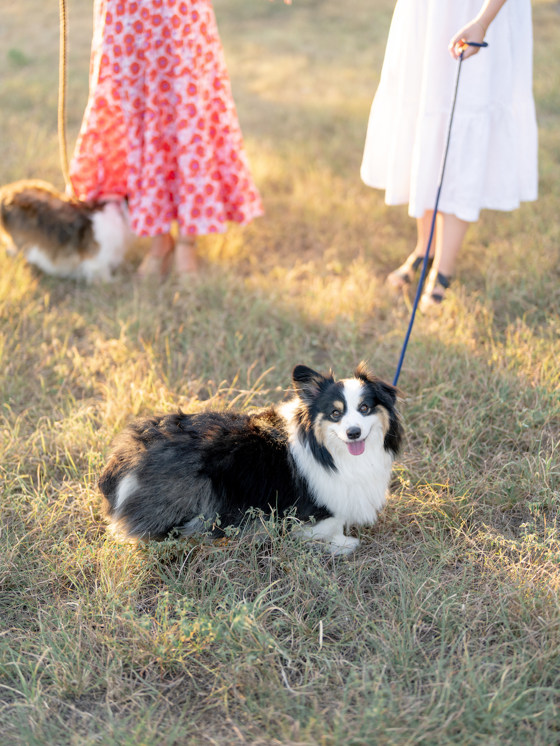 Austin LGBT Wedding Photographer Austin Engagement Session