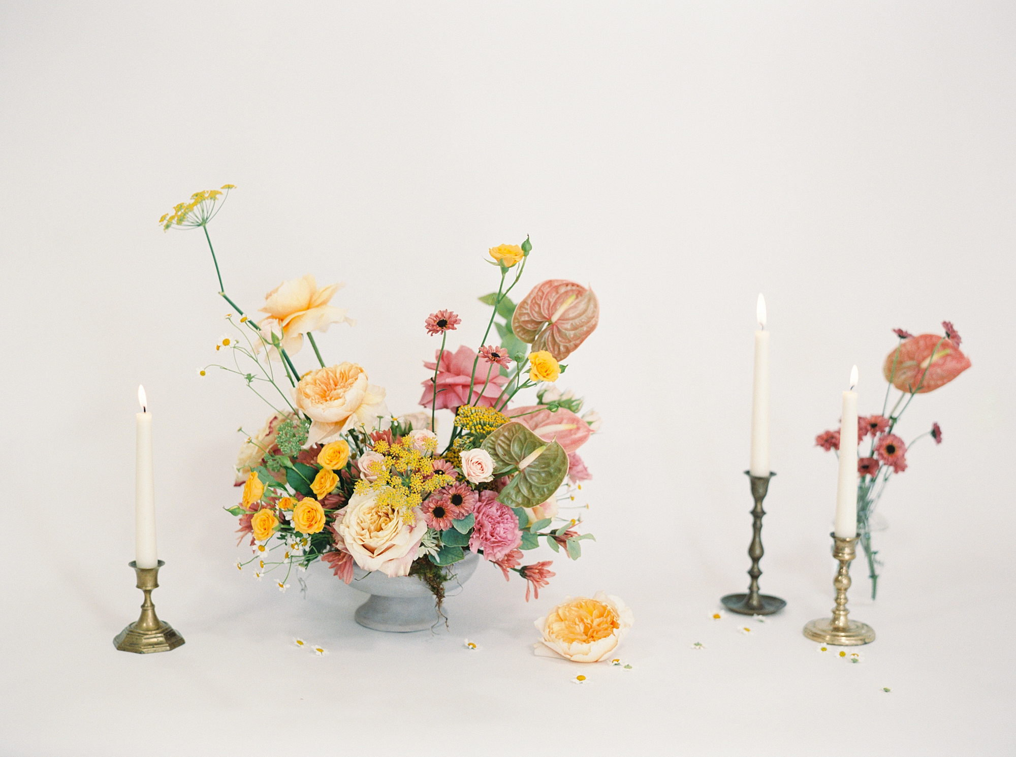 Austin branding photos Sunrise Petal Company