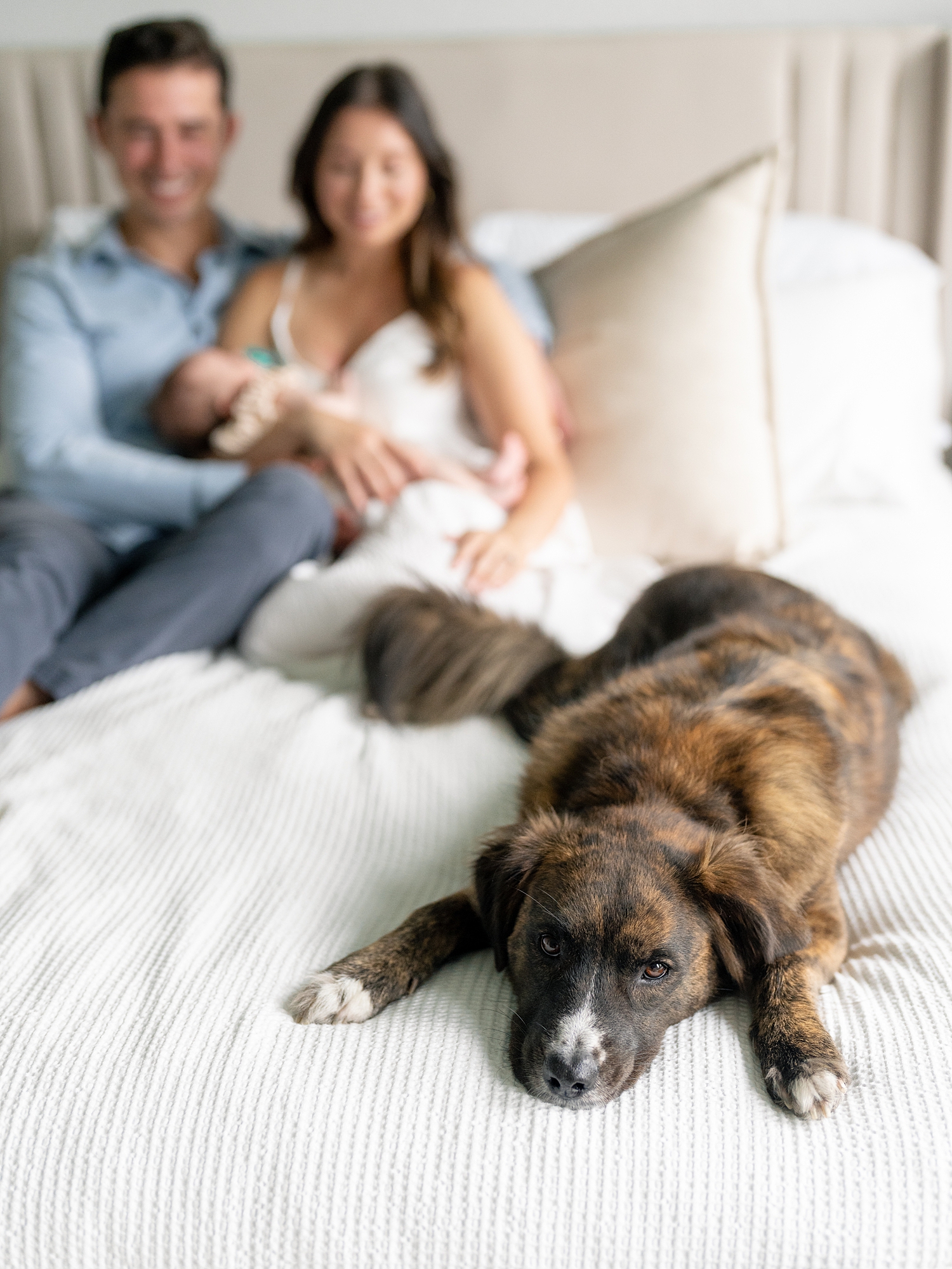 Austin newborn photography Paige Vaughn Photo