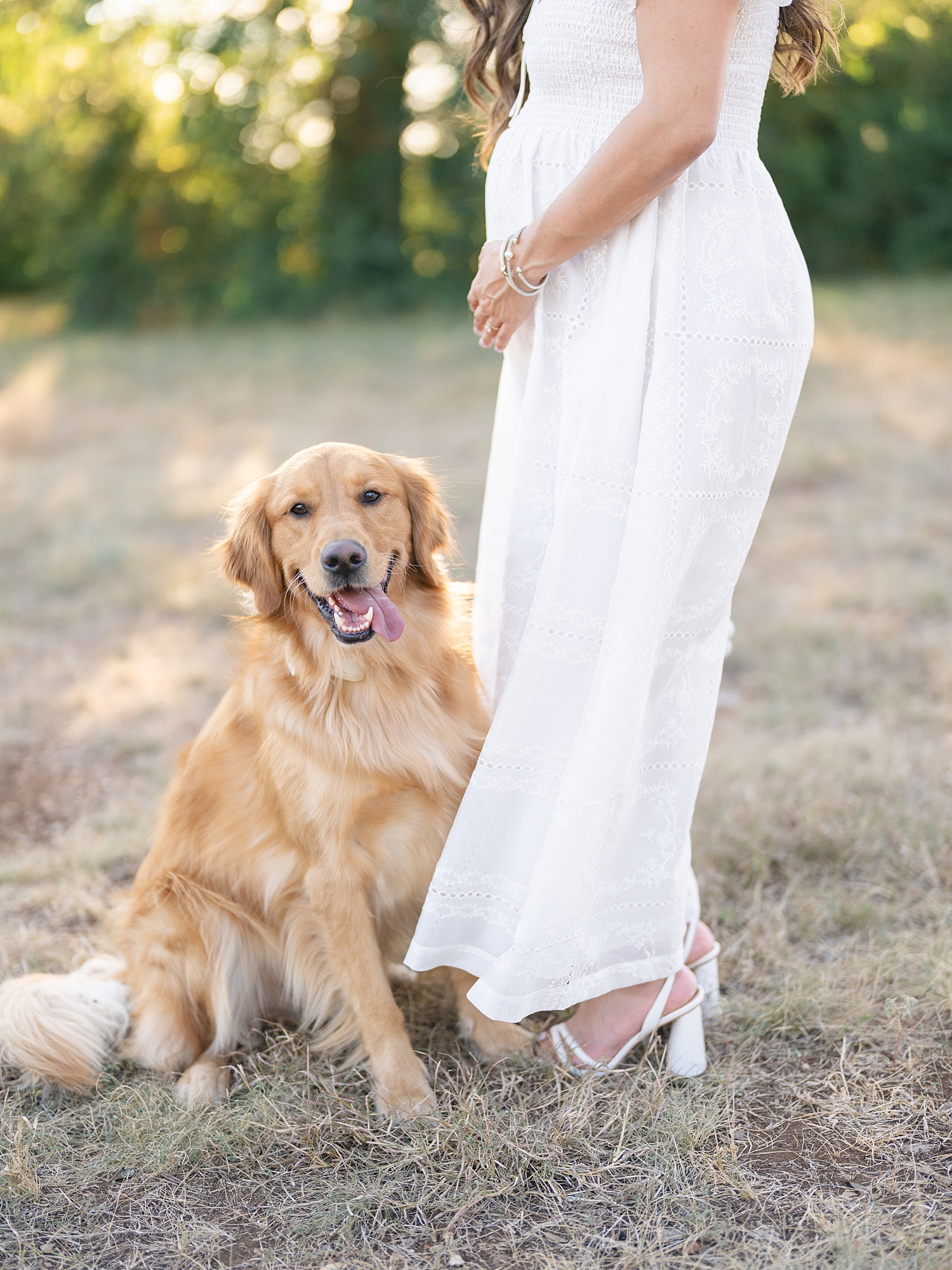 Austin maternity session at sunset with dog
